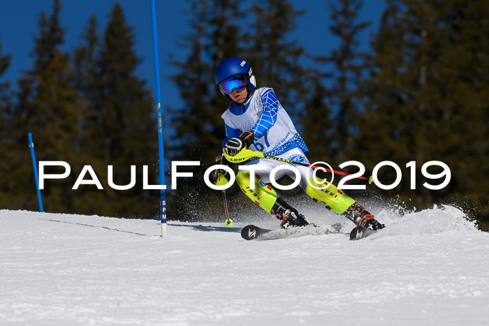 SVM U14/U16 Slalom 17.02.2019
