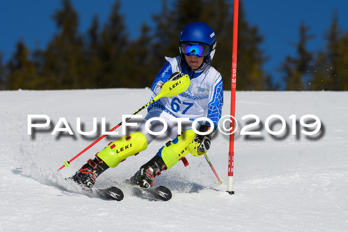 SVM U14/U16 Slalom 17.02.2019