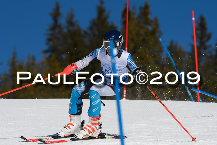 SVM U14/U16 Slalom 17.02.2019