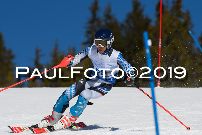 SVM U14/U16 Slalom 17.02.2019