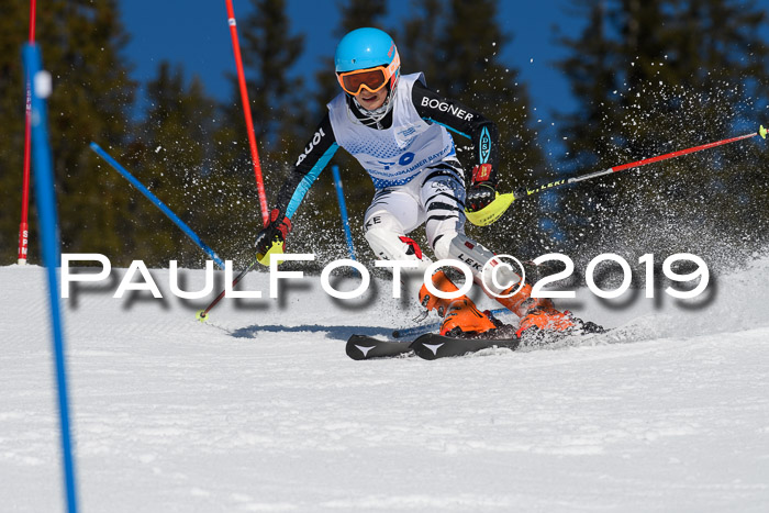 SVM U14/U16 Slalom 17.02.2019