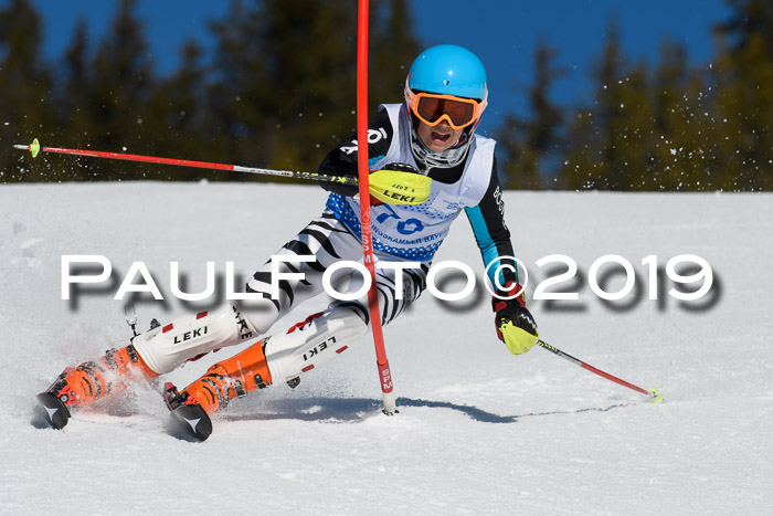 SVM U14/U16 Slalom 17.02.2019