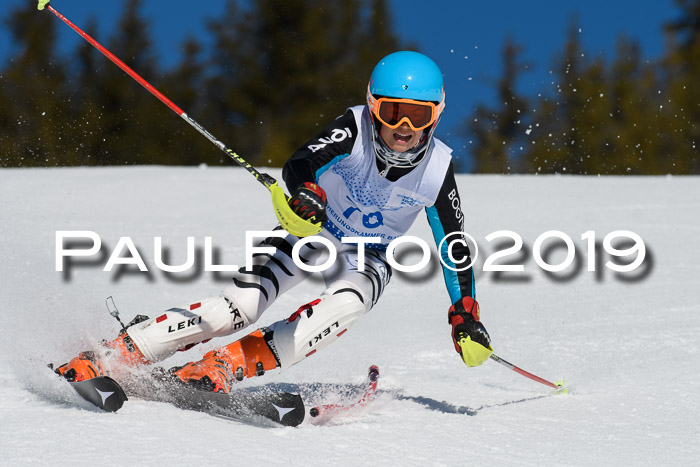 SVM U14/U16 Slalom 17.02.2019