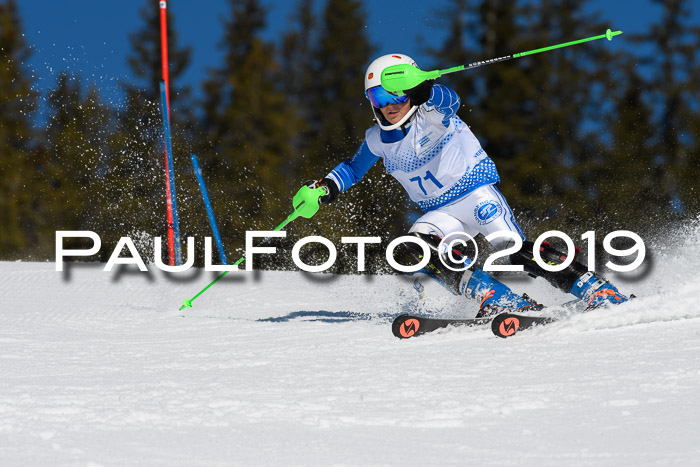 SVM U14/U16 Slalom 17.02.2019