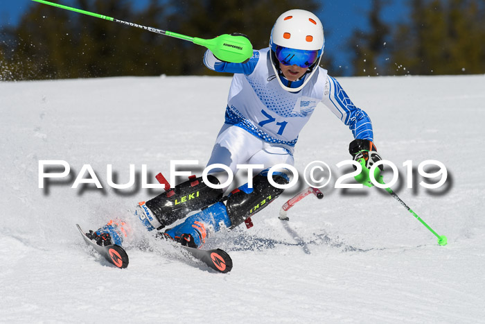 SVM U14/U16 Slalom 17.02.2019