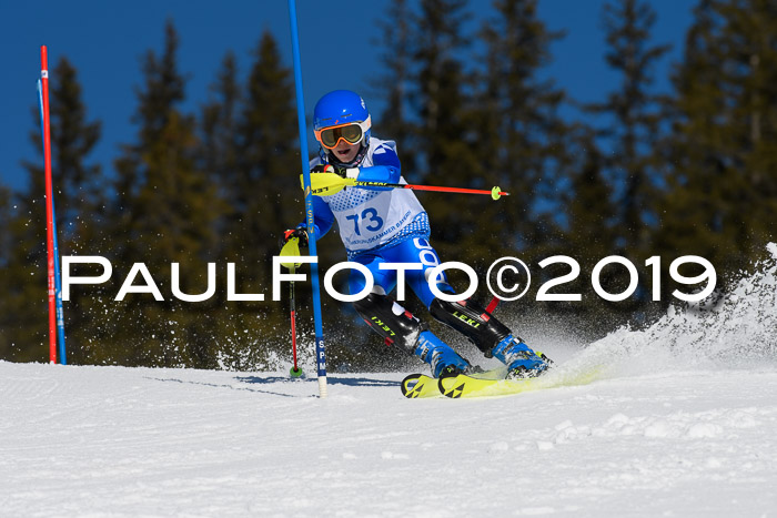 SVM U14/U16 Slalom 17.02.2019