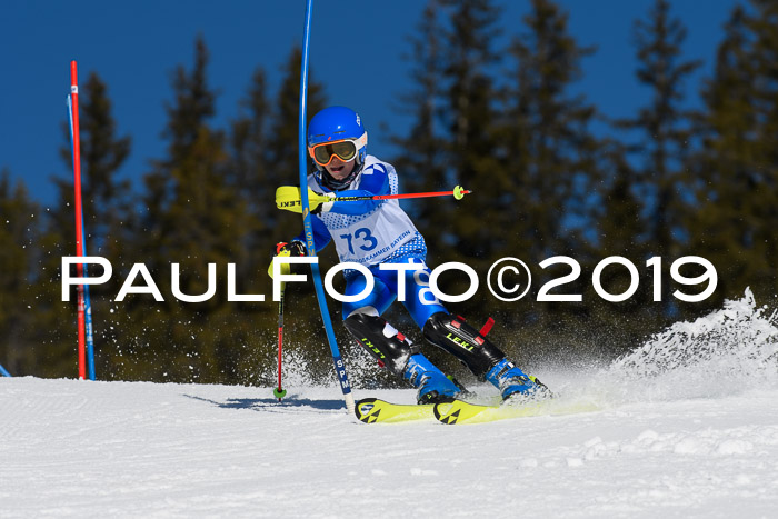 SVM U14/U16 Slalom 17.02.2019