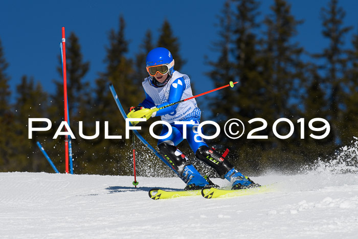 SVM U14/U16 Slalom 17.02.2019