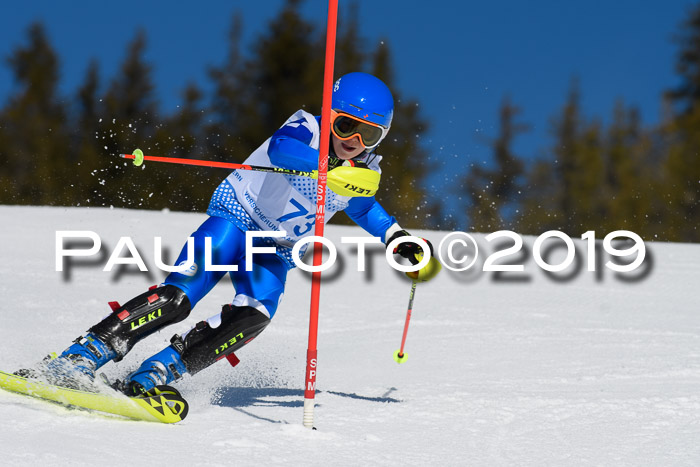 SVM U14/U16 Slalom 17.02.2019