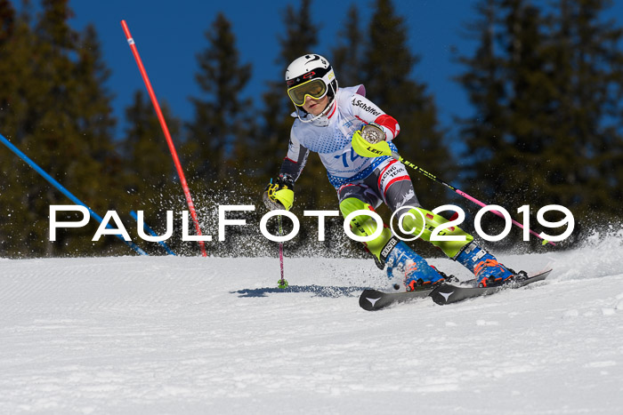 SVM U14/U16 Slalom 17.02.2019