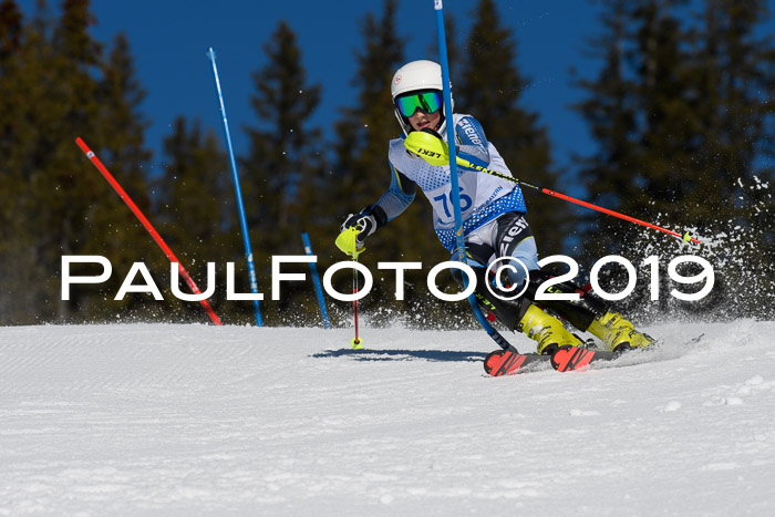 SVM U14/U16 Slalom 17.02.2019