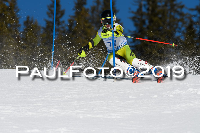 SVM U14/U16 Slalom 17.02.2019