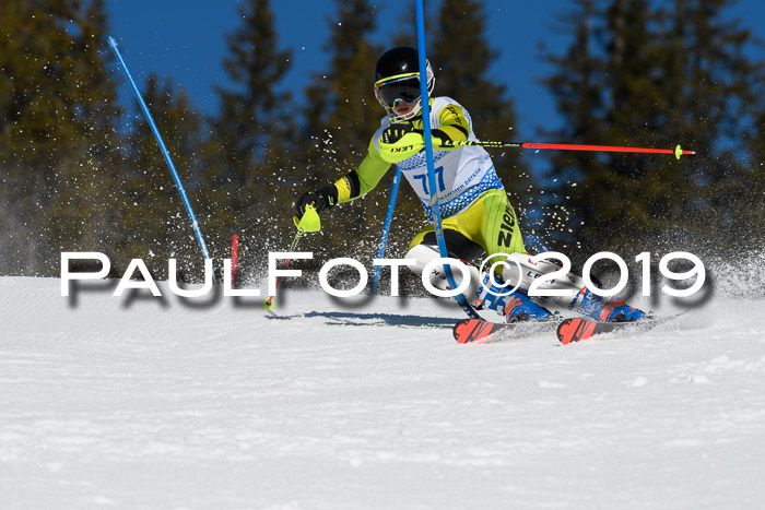 SVM U14/U16 Slalom 17.02.2019