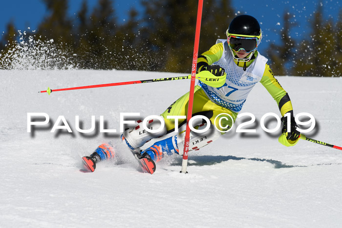 SVM U14/U16 Slalom 17.02.2019