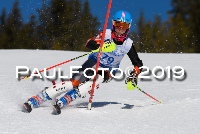 SVM U14/U16 Slalom 17.02.2019