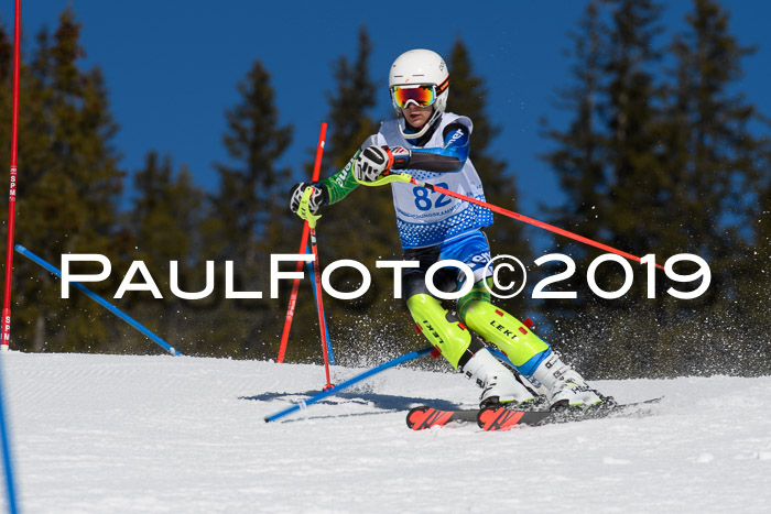 SVM U14/U16 Slalom 17.02.2019