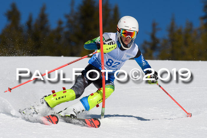 SVM U14/U16 Slalom 17.02.2019