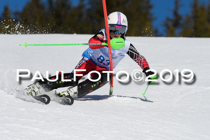 SVM U14/U16 Slalom 17.02.2019