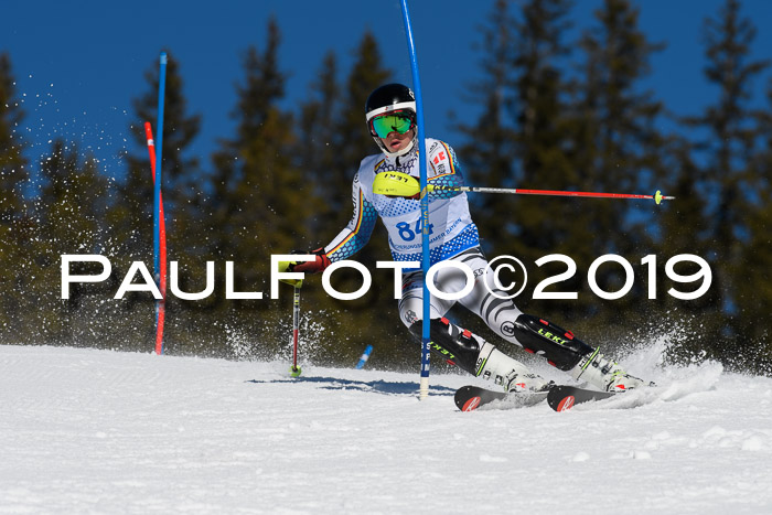SVM U14/U16 Slalom 17.02.2019