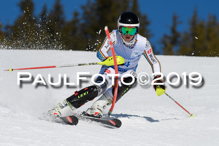 SVM U14/U16 Slalom 17.02.2019
