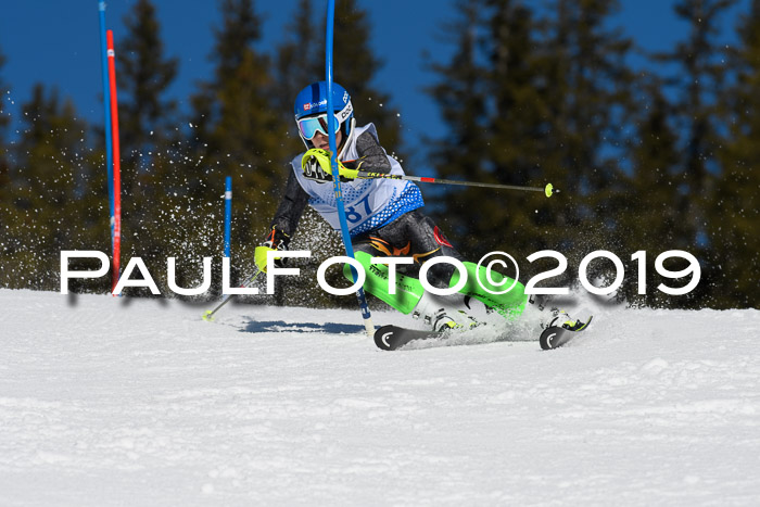 SVM U14/U16 Slalom 17.02.2019