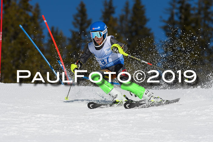 SVM U14/U16 Slalom 17.02.2019