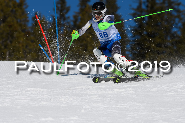 SVM U14/U16 Slalom 17.02.2019