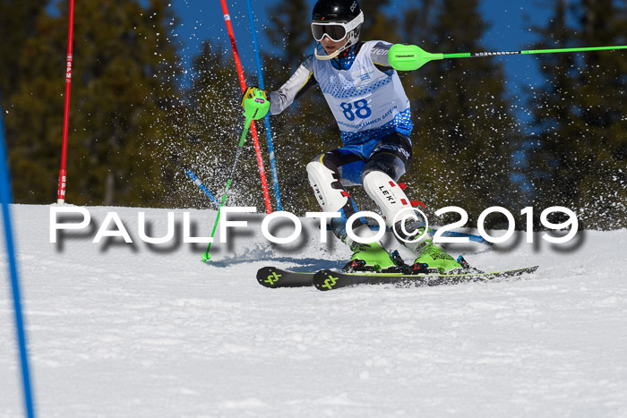 SVM U14/U16 Slalom 17.02.2019