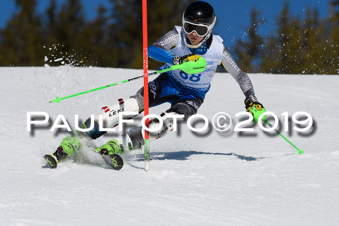 SVM U14/U16 Slalom 17.02.2019
