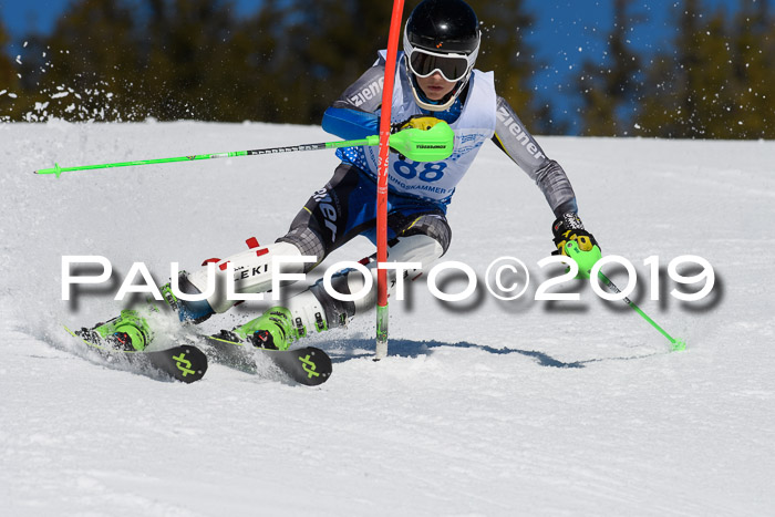 SVM U14/U16 Slalom 17.02.2019