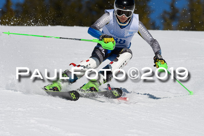 SVM U14/U16 Slalom 17.02.2019
