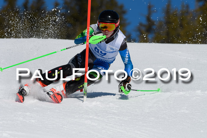 SVM U14/U16 Slalom 17.02.2019