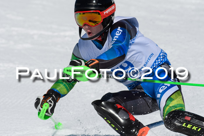 SVM U14/U16 Slalom 17.02.2019