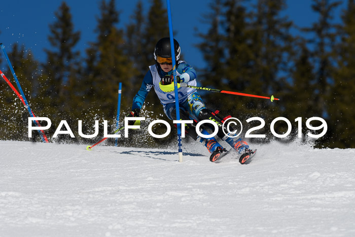SVM U14/U16 Slalom 17.02.2019