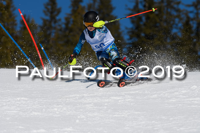 SVM U14/U16 Slalom 17.02.2019