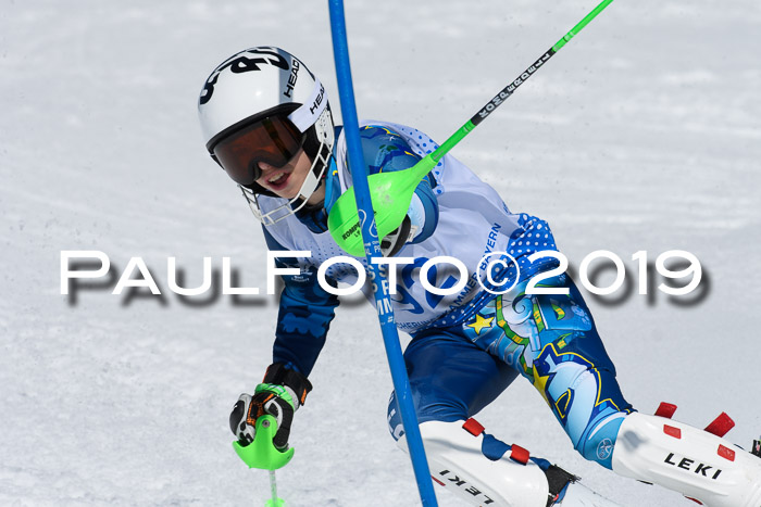 SVM U14/U16 Slalom 17.02.2019