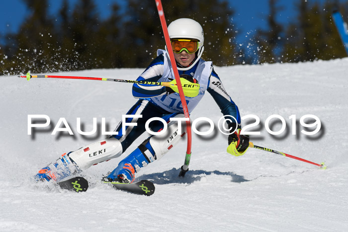 SVM U14/U16 Slalom 17.02.2019