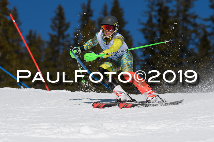 SVM U14/U16 Slalom 17.02.2019