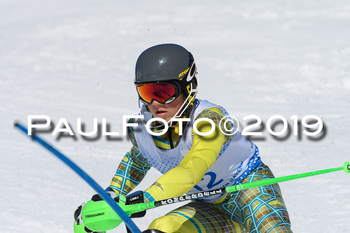 SVM U14/U16 Slalom 17.02.2019