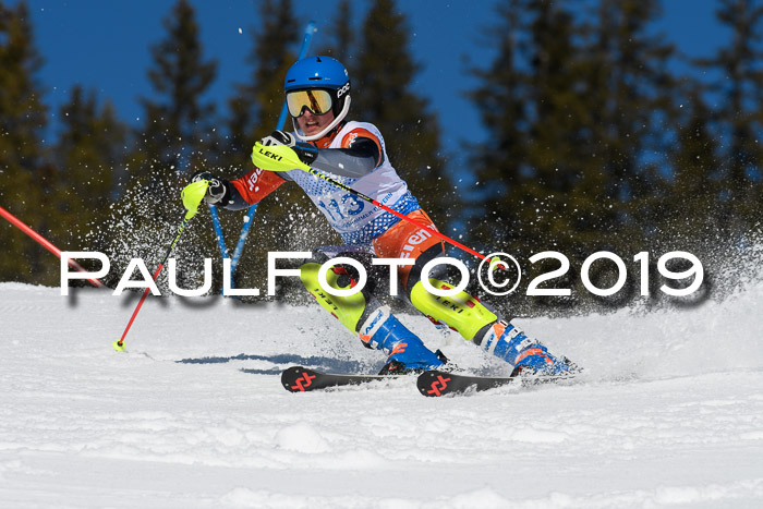 SVM U14/U16 Slalom 17.02.2019