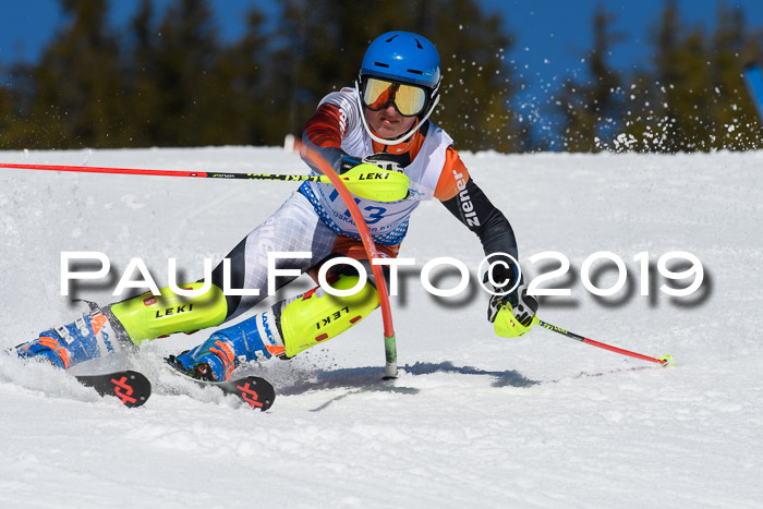 SVM U14/U16 Slalom 17.02.2019