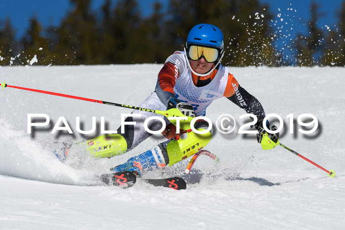 SVM U14/U16 Slalom 17.02.2019