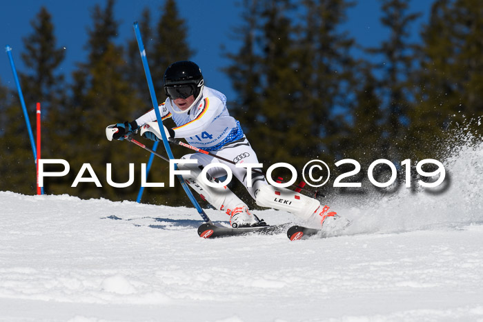 SVM U14/U16 Slalom 17.02.2019
