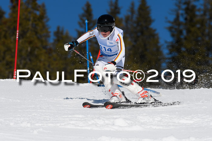 SVM U14/U16 Slalom 17.02.2019