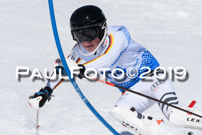 SVM U14/U16 Slalom 17.02.2019