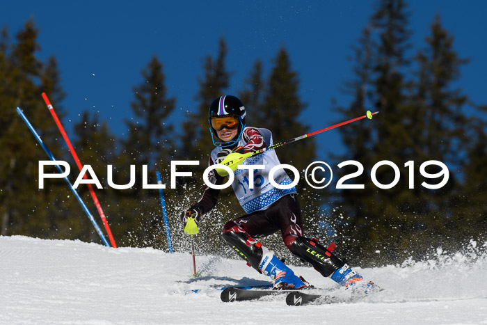 SVM U14/U16 Slalom 17.02.2019