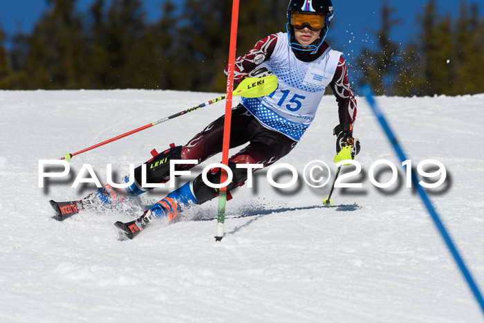 SVM U14/U16 Slalom 17.02.2019