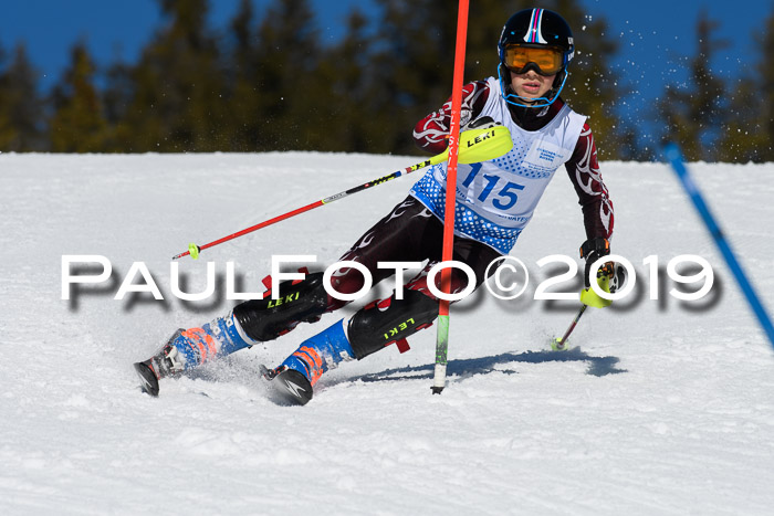 SVM U14/U16 Slalom 17.02.2019