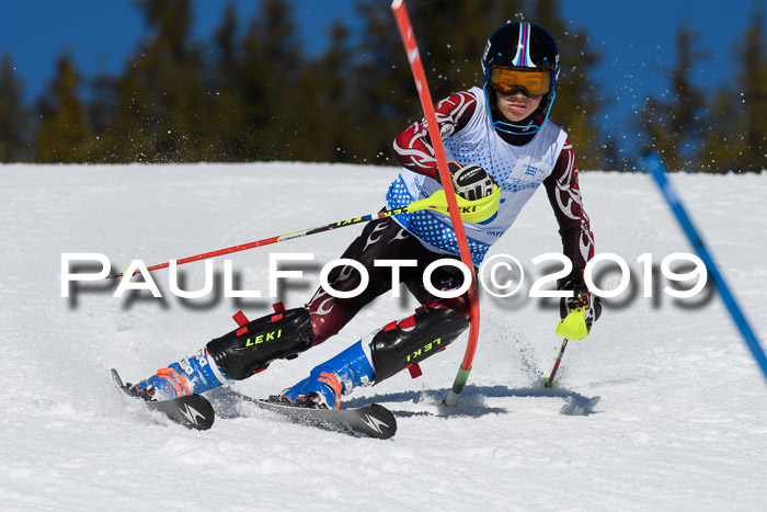 SVM U14/U16 Slalom 17.02.2019