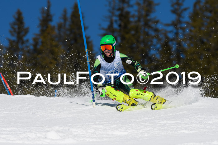 SVM U14/U16 Slalom 17.02.2019